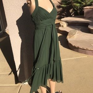 BCBG gorgeous chiffon below the knee dress